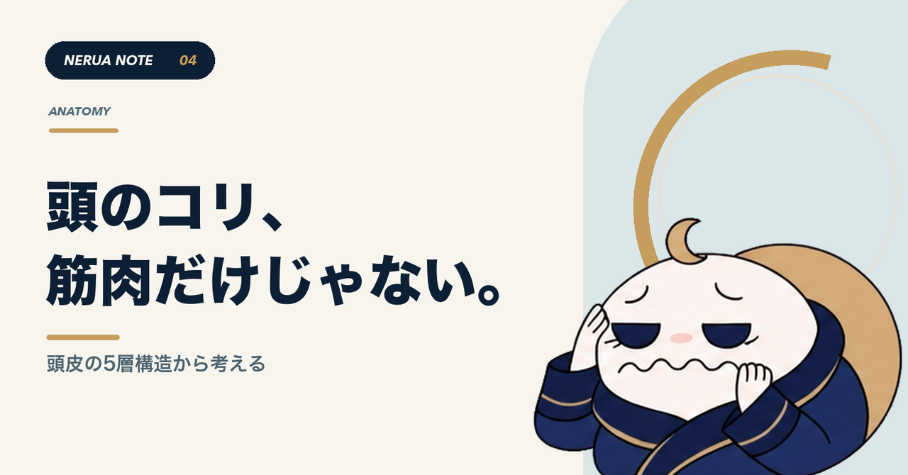 頭のコリ、筋肉だけじゃない。